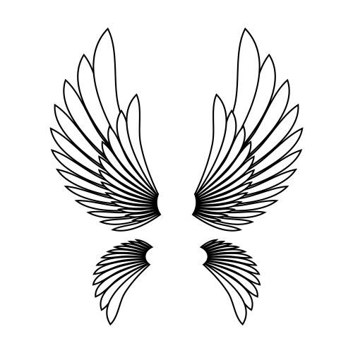 Angel Wings Template Vector Image