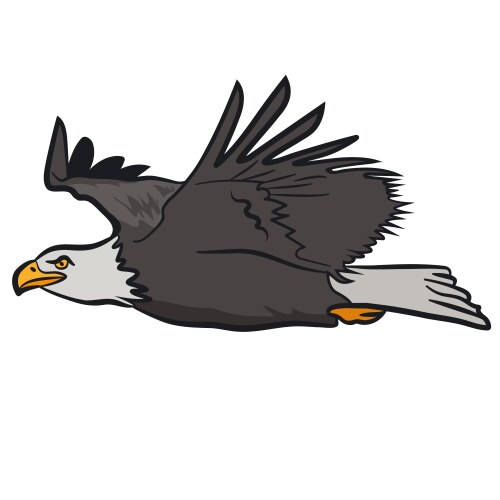 Flying eagle isolated on white Royalty Free Vector Image