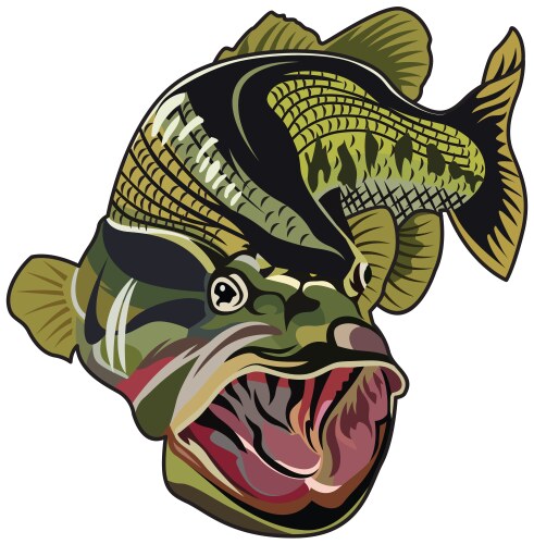 bass fishing template vector image