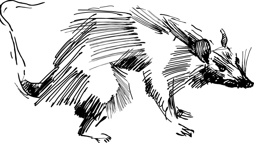 Anime black and white Vector Images & Graphics for Commercial Use ...