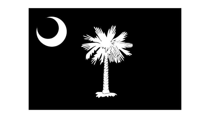 South Carolina State Flag Vector Image
