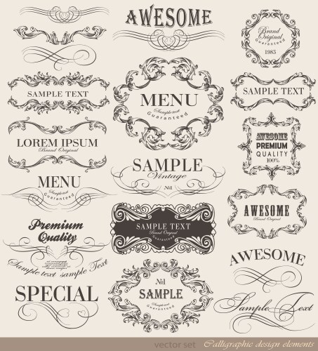 Vintage set calligraphic design elements and page Vector Image