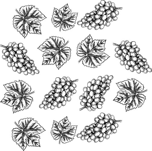 Seamless pattern with clusters and leaves vector image