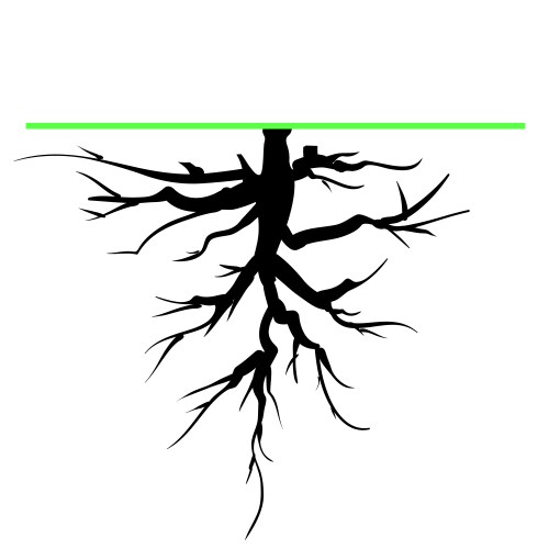 Oak tree Royalty Free Vector Image - VectorStock