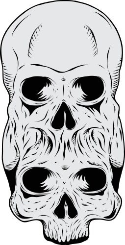 Detailed Skull Illustration Vector Image