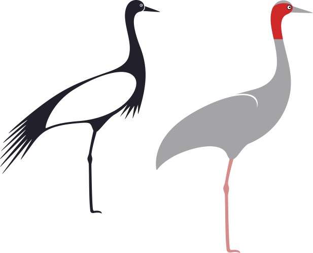 Crane vector image