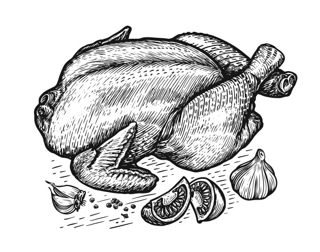 Roasted Turkey with Ingredients Vector Image