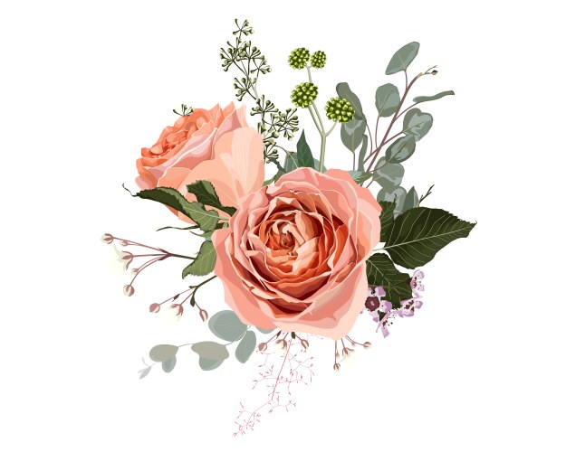 Creamy Rose Bouquet Vector Image