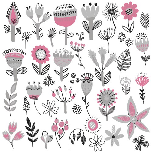 collection of fancy flowers scandinavian vector image