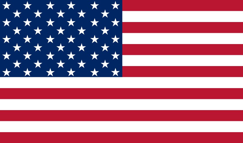 United States Flag Icon Vector Image