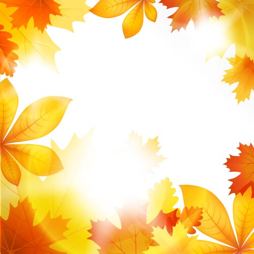 Autumn leaf fall background Royalty Free Vector Image