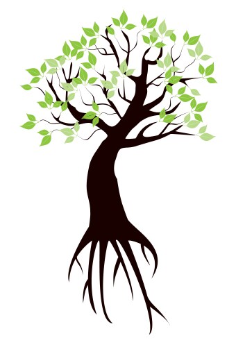 Root system a tree with leaves Royalty Free Vector Image