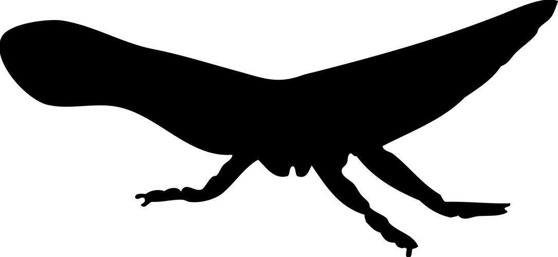 grasshopper silhouette vector image