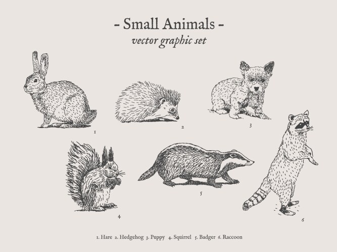 Cute Small Animal Sketch Set Vector Image