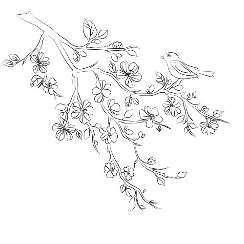Sakura Branch with Bird Vector Image