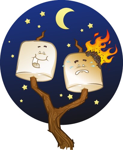 Roasting Marshmallows at Night Vector Image
