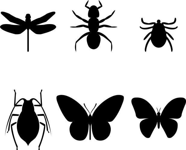 bugs set vector