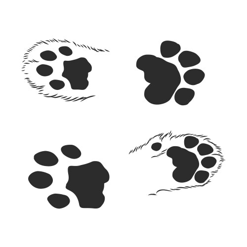 A set dogs paws black traces in different Vector Image