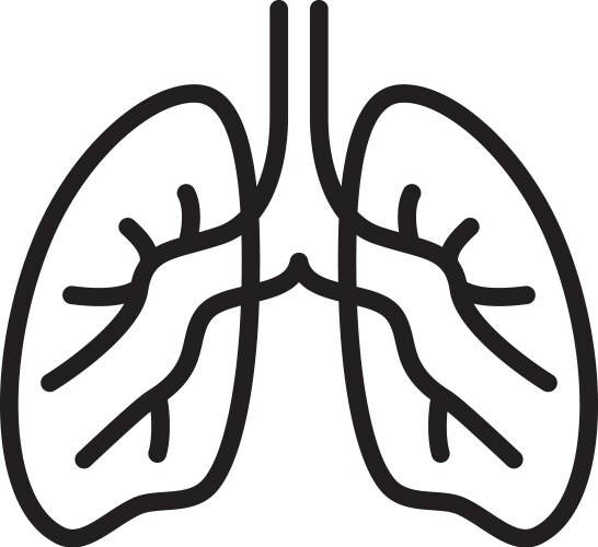 Hand drawn lungs doodle style internal organs Vector Image
