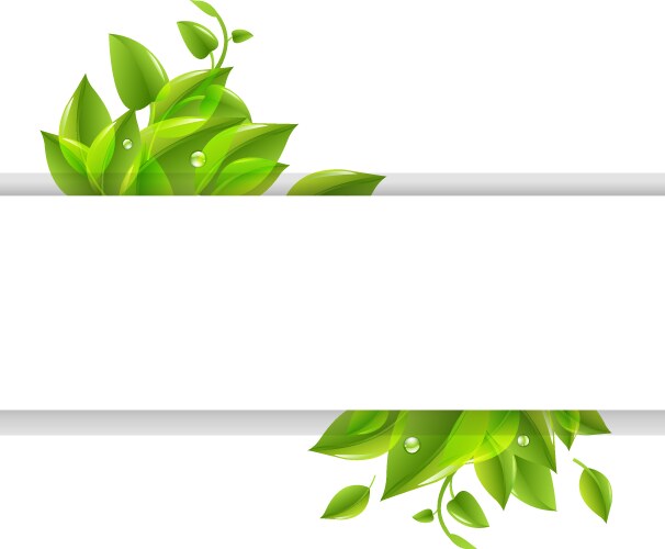 A green leaf banner Royalty Free Vector Image - VectorStock