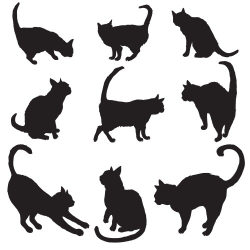 Cat Silhouettes on White Background Vector Image