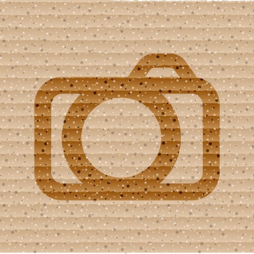 Camera flat modern web button and space for your vector image
