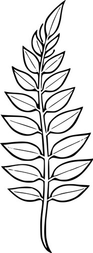 Detailed Fern Artwork Vector Image