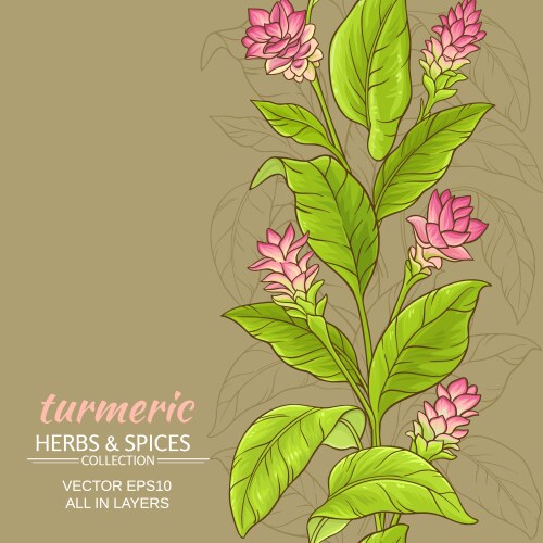Turmeric Vector Images (over 2,800)