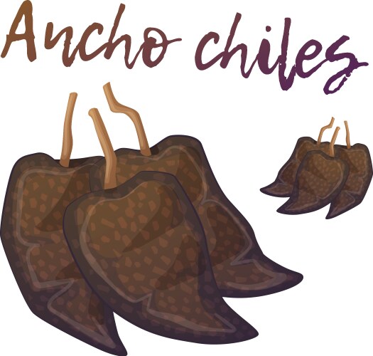 Dried Ancho Chiles - Spicy Pepper Icon Vector Image