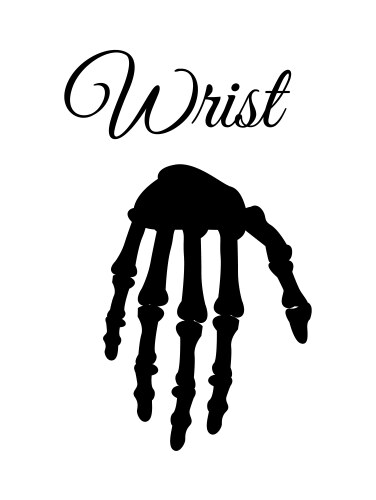 Wrist poster and silhouette Vector Image
