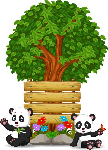 Two pandas in front of an empty wooden signboard vector image