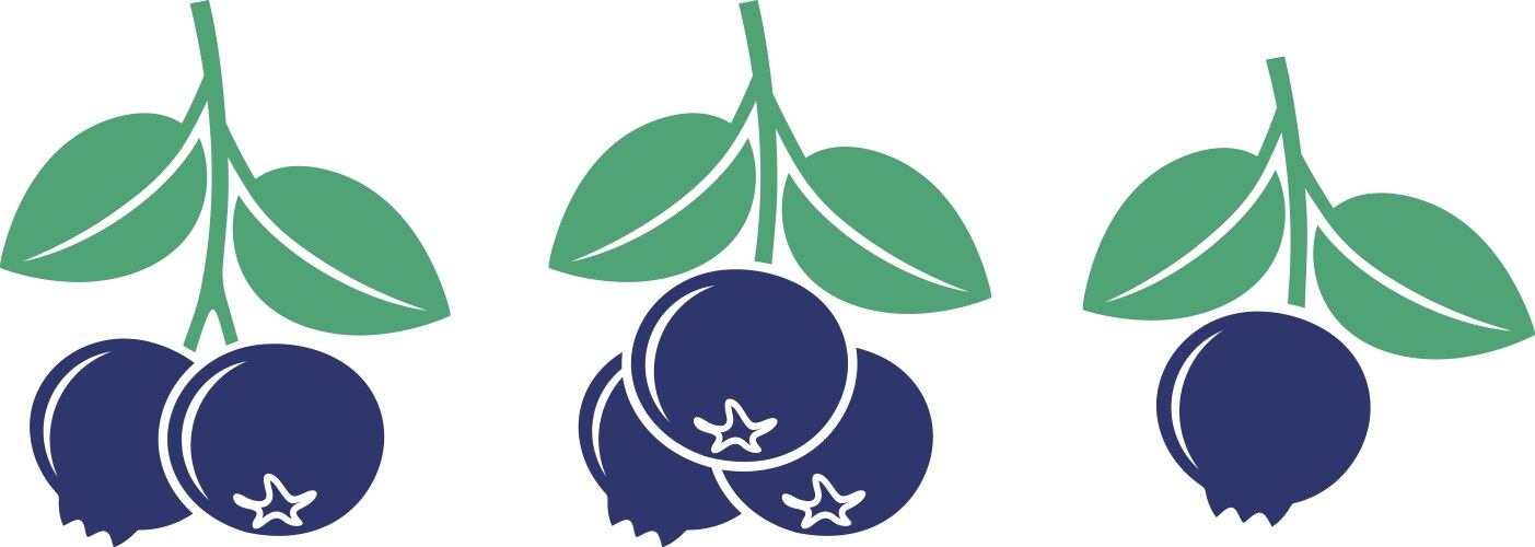 Blueberry Royalty Free Vector Image Vectorstock