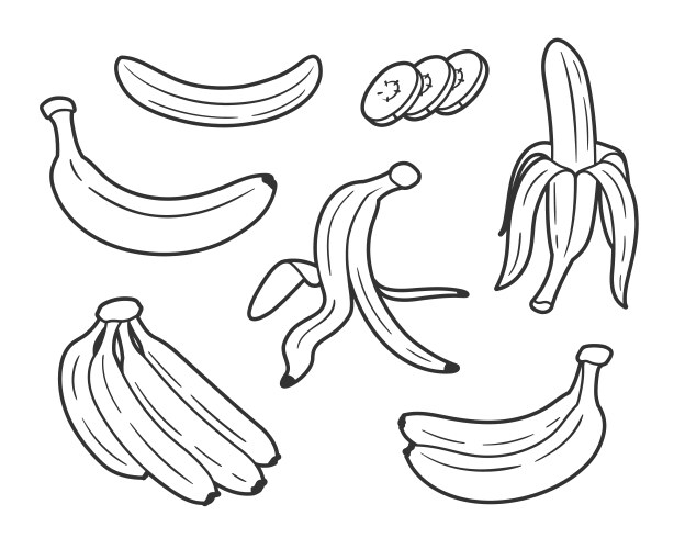 Set of line art bananas isolated on white vector image