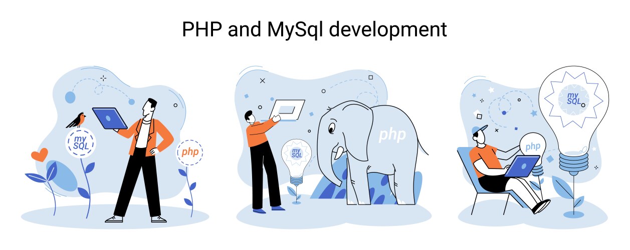 Php and mysql development software website vektorbild