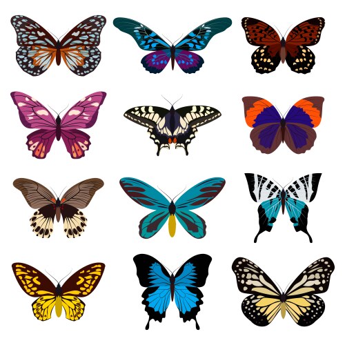 Vibrant Butterfly Collection Vector Image