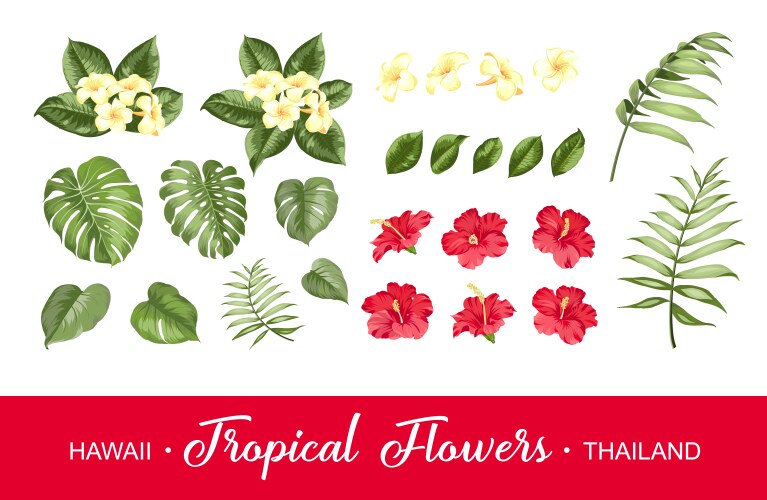 Tropical grungestyle elements Royalty Free Vector Image