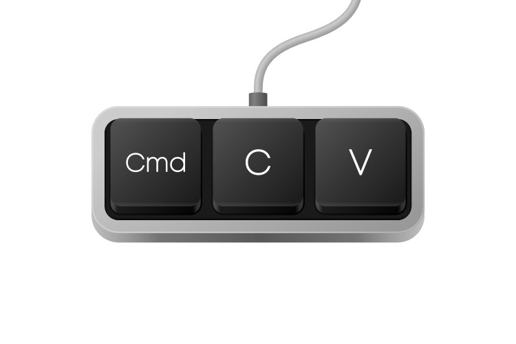 Copy paste button combination computer keyboard vector image