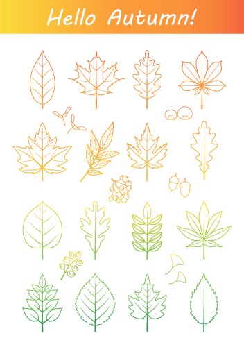 Fall Leaves Outline Vector Images (over 6,900)