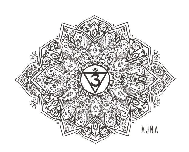 chakra beautiful symbol vector image