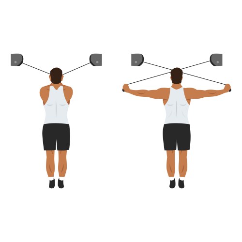 Dumbbell bent over lateral rear delt raises Vector Image