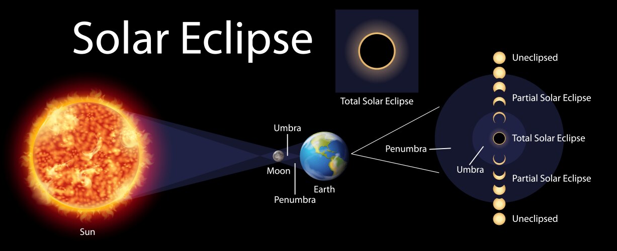 Solar Eclipse Diagram - Sun and Earth Vector Image