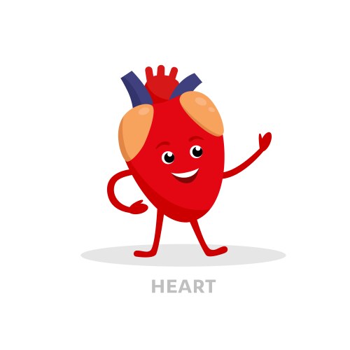 strong healthy heart cartoon character isolated vector image