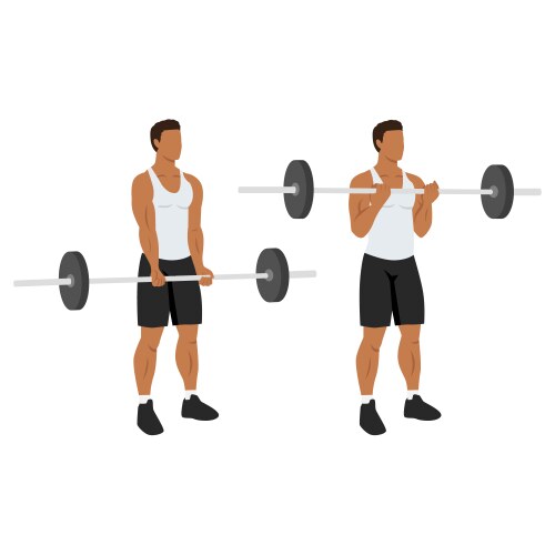 Man doing barbell curls exercise Royalty Free Vector Image