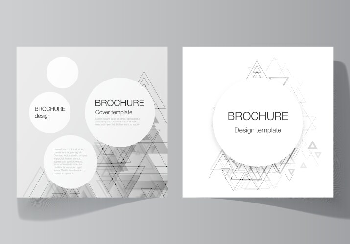 Minimal editable layout of two square vector image