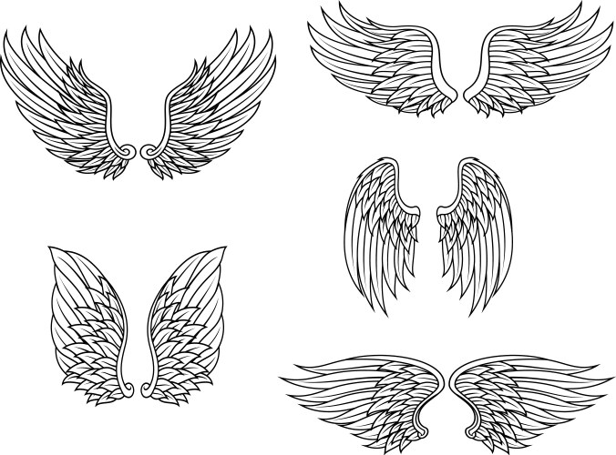 Heraldic bird angel wings set Royalty Free Vector Image