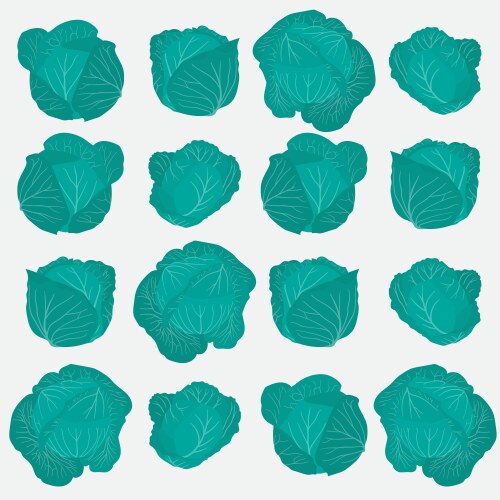 Cabbage print pattern background in flat design vector image