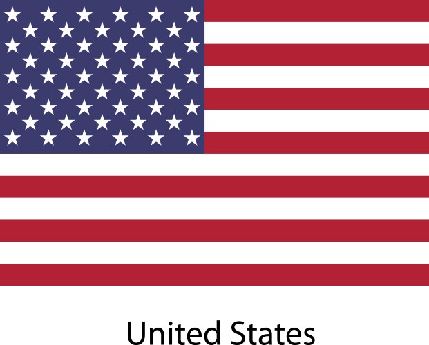 United States Flag Vector Image