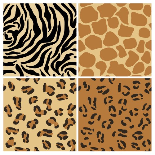 Zebra giraffe and leopard patterns Royalty Free Vector Image