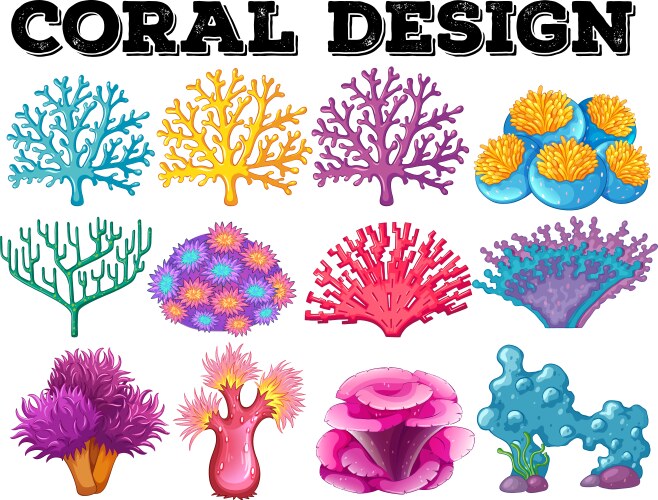 Vibrant Coral Reef Patterns Vector Image