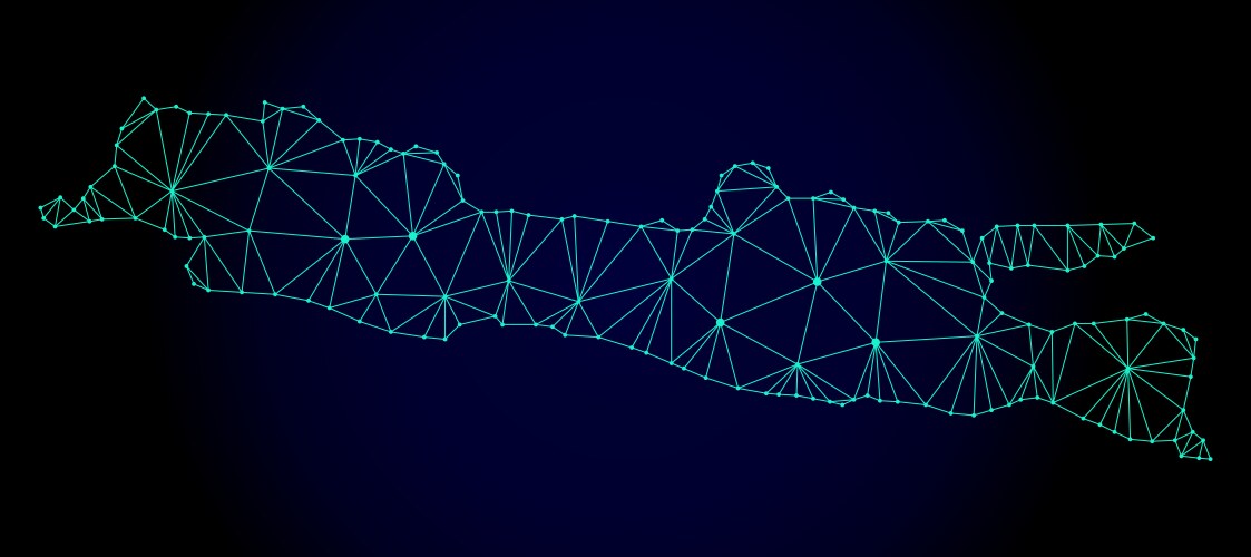 Polygonal 2d mesh map of java island vector image